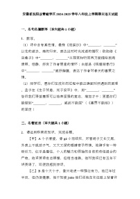 安徽省涡阳县青疃学区2024-2025学年八年级上学期期末 语文试题（含解析）