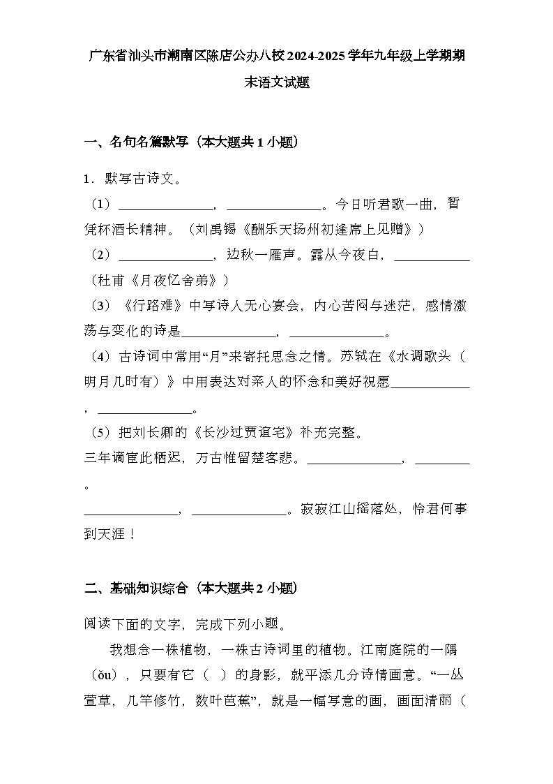 广东省汕头市潮南区陈店公办八校2024-2025学年九年级上学期期末 语文试题(含解析)第1页