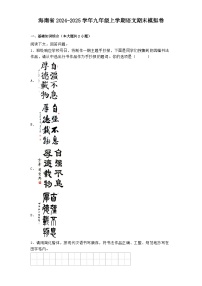 海南省2024-2025学年九年级上学期 语文期末模拟卷(含解析)