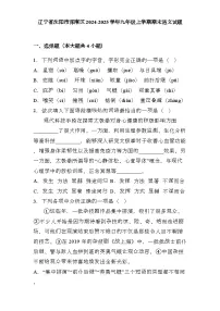 辽宁省沈阳市浑南区2024-2025学年九年级上学期期末 语文试题（含解析）