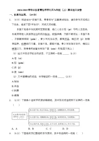 山东省青岛市市北区2024-2025学年九年级上学期 语文期末试题(含解析)