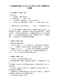广东省揭阳市普宁市2024-2025学年七年级上学期期末语文试题
