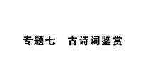 初中语文新人教部编版七年级下册期末专题七 古诗词鉴赏 作业课件（2025春）