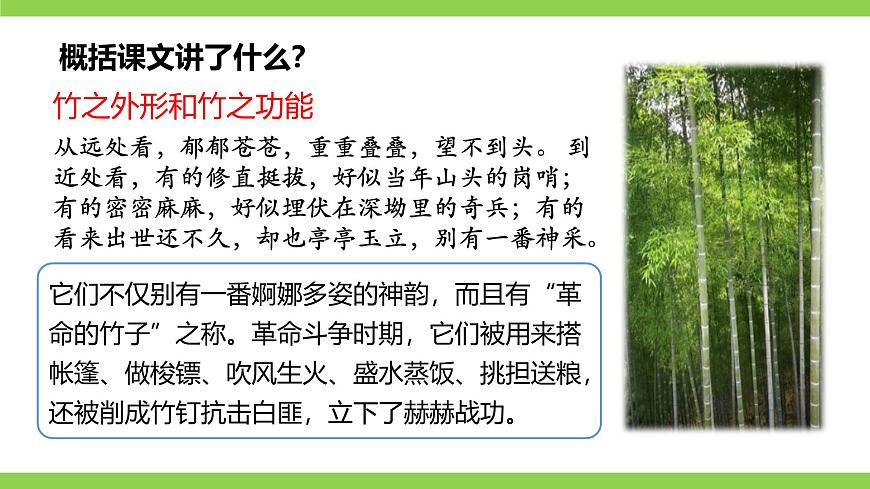 18《 井岡翠竹》【2022新課標】課件第7頁