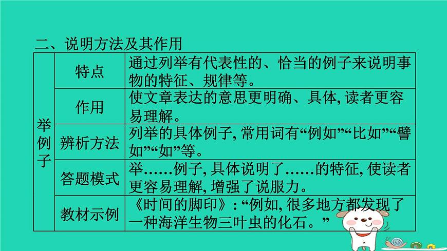 福建省2024中考語文閱讀專題三實用類文本__說明文閱讀文體知識梳理課堂講本課件第3頁
