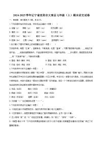2024-2025學年遼寧省沈陽市大東區(qū)七年級（上）期末語文試卷（含詳細答案解析）