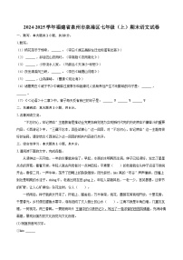 2024-2025学年福建省泉州市泉港区七年级(上)期末语文试卷(含详细答案解析)