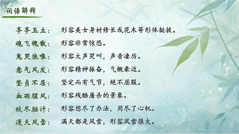 人教部编版初中语文七年级下册 《18.井岗翠竹》课件第8页