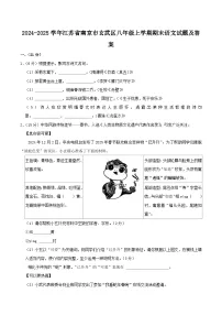2024-2025学年江苏省南京市玄武区八年级上学期期末语文试卷及答案