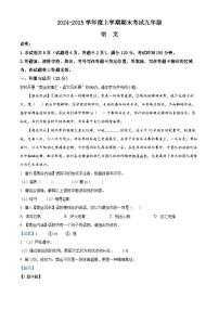 广西壮族自治区梧州市2024-2025学年九年级上学期期末语文试题（解析版）