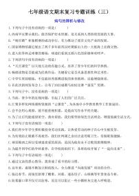 七年级上学期语文期末复习专题训练(三)