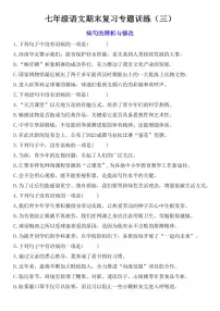 七年级上学期语文期末复习专题训练(三)