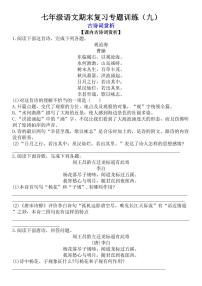 七年级上学期语文期末复习专题训练(九)