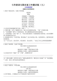 七年级上学期语文期末复习专题训练(九)