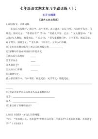 七年级上学期语文期末复习专题训练(十)