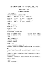 2024-2025学年山东省潍坊市诸城市九年级上学期期末考试语文试卷（解析版）