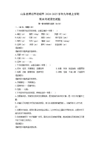 2024-2025学年山东省潍坊市诸城市九年级上学期期末考试语文试卷（解析版）