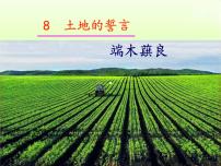 初中语文人教部编版（2024）七年级下册土地的誓言教学ppt课件