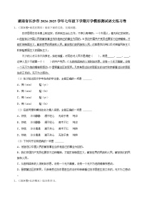 湖南省长沙市2024-2025学年七年级下学期开学模拟测试 语文练习卷（含解析）