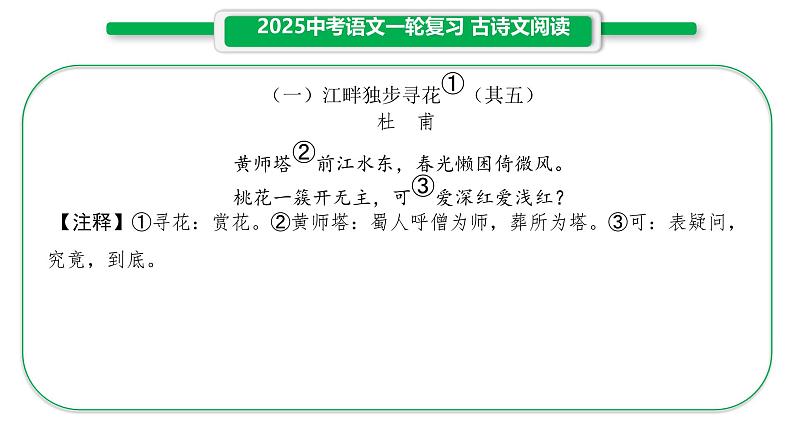 2025年中考语文专题复习之古诗文阅读课件第5页