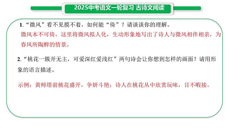 2025年中考语文专题复习之古诗文阅读课件第6页