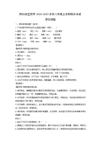 四川省宜宾市2024-2025学年八年级(上)期末考试语文试卷（解析版）