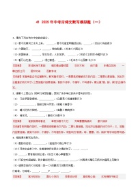 中考语文一轮复习古诗文默写与强化训练41 2025年中考古诗文默写模拟题（一）