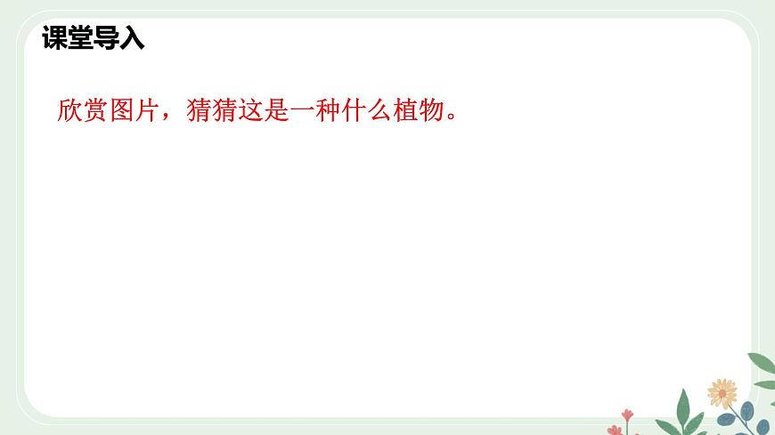 第五單元 19 紫藤蘿瀑布 - 初中語文七年級下冊 同步教學課件（人教部編版2024）第3頁