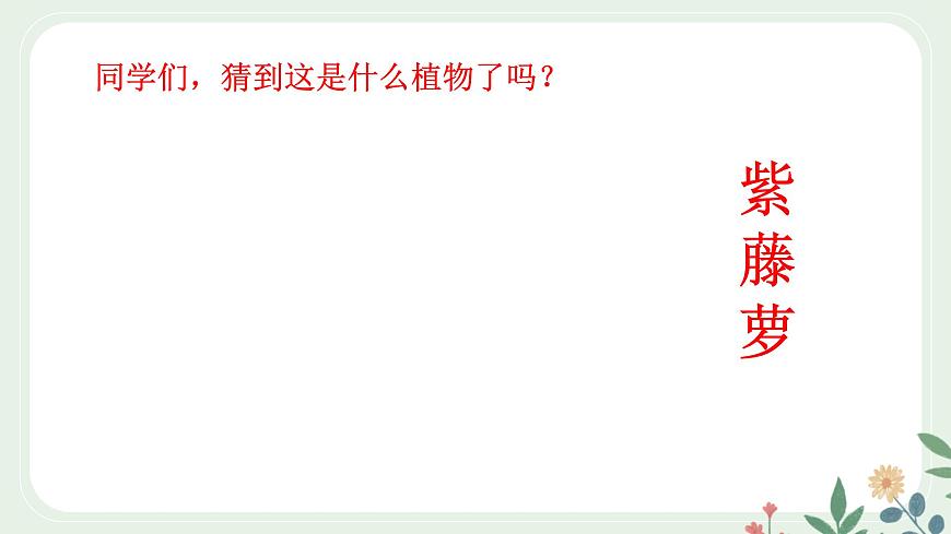 第五單元 19 紫藤蘿瀑布 - 初中語文七年級下冊 同步教學課件（人教部編版2024）第4頁