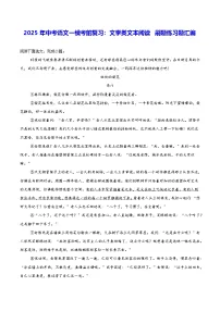 2025年中考语文一模考前复习:文学类文本阅读 刷题练习题汇编(含答案解析)