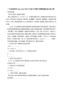 广东省深圳市2024-2025学年八年级下学期开学适应性模拟测试 语文练习卷