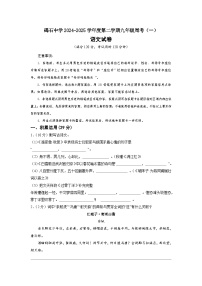 广东省汕尾市陆丰市碣石中学2024-2025学年九年级下学期3月月考语文试题及答案