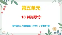 初中语文人教部编版(2024)七年级下册(2024)井冈翠竹试讲课教学课件ppt