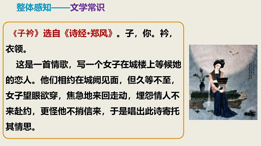 部編版八下語(yǔ)文第三單元課外古詩(shī)之《子矜》同步課件第6頁(yè)