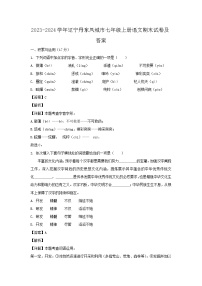 2023-2024学年辽宁丹东凤城市七年级上册语文期末试卷及答案
