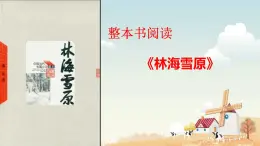 整本書(shū)閱讀《林海雪原》（精美課件）-2024-2025學(xué)年六年級(jí)語(yǔ)文下冊(cè)（統(tǒng)編版五四制2024）