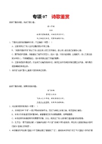 专项07 诗歌鉴赏（附答案）2024—2025学年七年级语文下册期中测试专项训练（全国版）