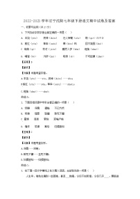 2022-2023学年辽宁沈阳七年级下册语文期中试卷及答案