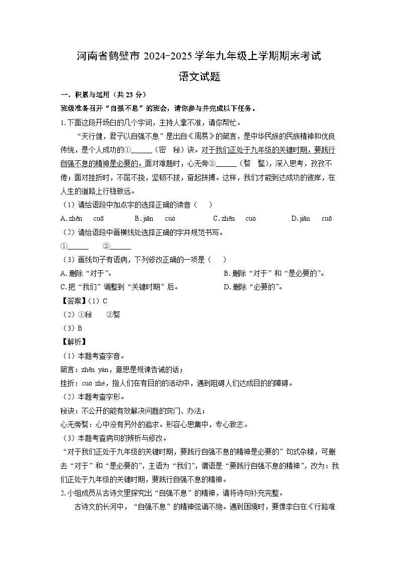 河南省鹤壁市2024-2025学年九年级上学期期末考试语文试卷（解析版）