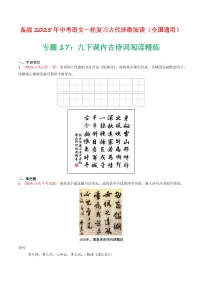 中考语文二轮复习精品试卷讲义专题17:九下课内古诗词阅读精练原卷版