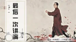 第13課《最后一次講演》2025學(xué)年八年級(jí)語(yǔ)文下冊(cè)（統(tǒng)編版）課件
