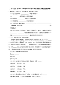 广东省湛江市2024-2025学年八年级上册期中语文质量检测试卷（附答案）