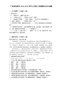 广东省汕尾市2024-2025学年七年级上学期期末语文试题