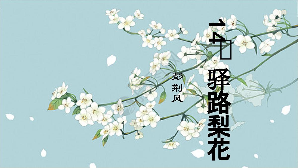 部编版(2024)2024-2025年第二学期 语文 七年级下册 14.驿路梨花 课件第4页