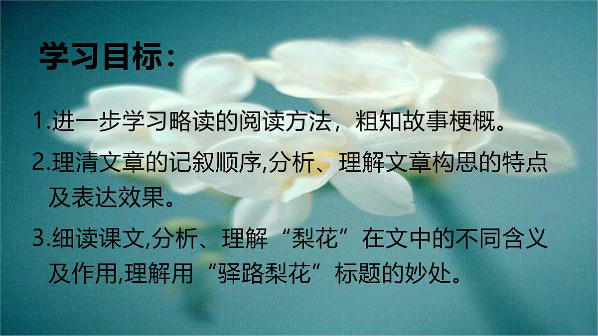 部编版(2024)2024-2025年第二学期 语文 七年级下册 14.驿路梨花 课件第5页