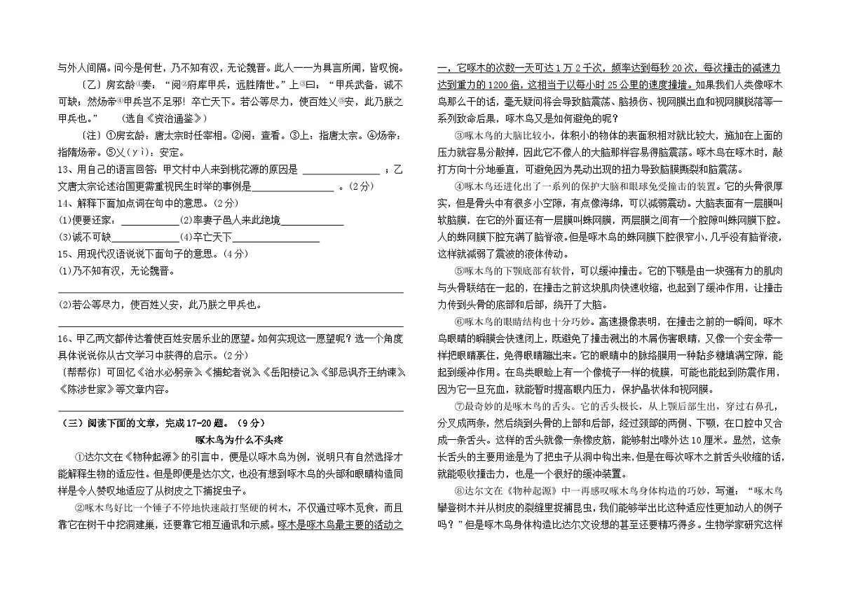 2024--2025学年八年级下学期语文期中模拟检测卷(四)及答案(全国卷)第3页