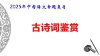 2025年中考语文专题复习:《古诗词鉴赏专题》课件