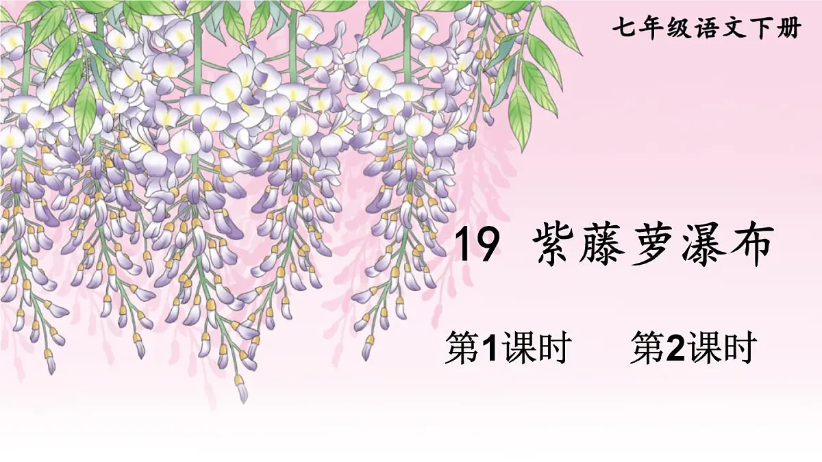 初中语文新人教部编版七年级下册第五单元19 紫藤萝瀑布教学课件2025春第1页