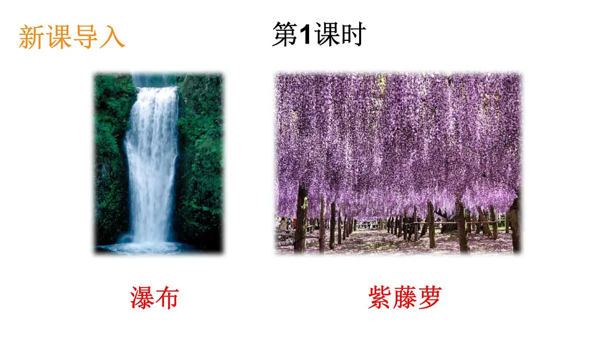 初中语文新人教部编版七年级下册第五单元19 紫藤萝瀑布教学课件2025春第2页
