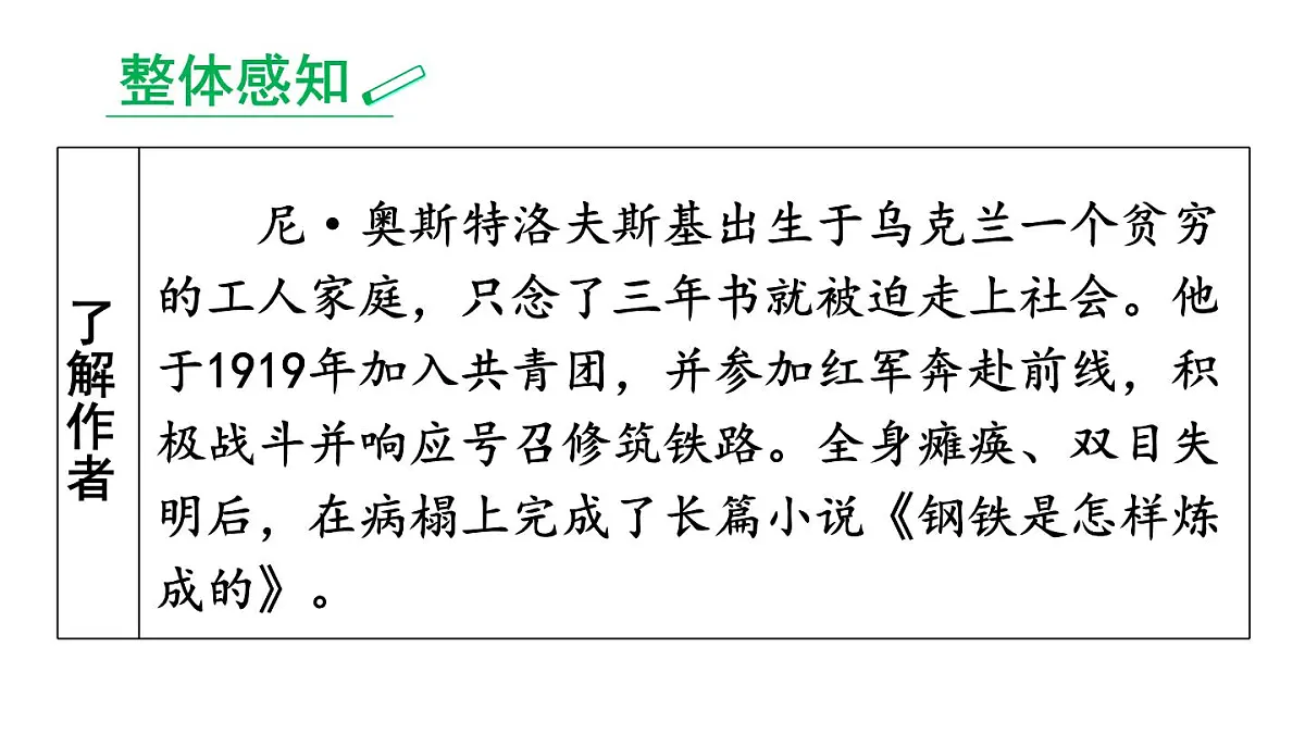 初中语文新人教部编版七年级下册第五单元整本书阅读《钢铁是怎样炼成的》教学课件2025春第3页